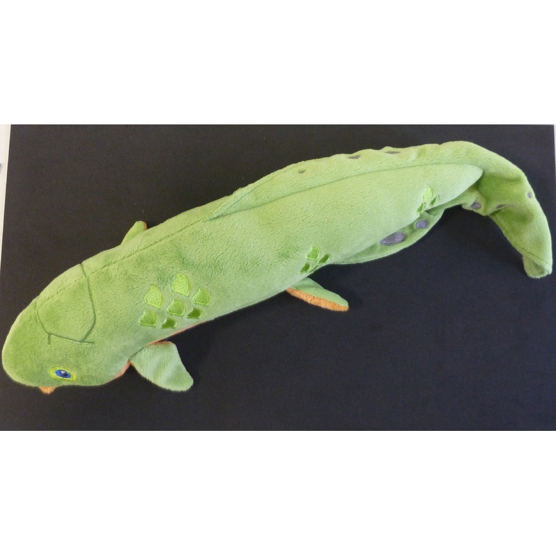 Plush Lungfish