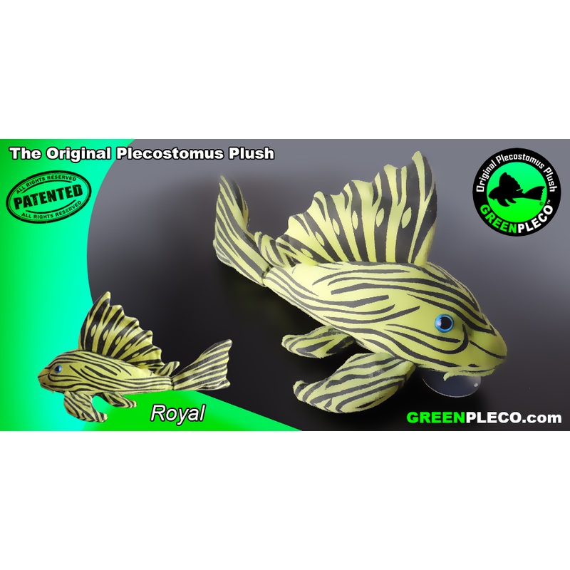 Royal Plush Pleco