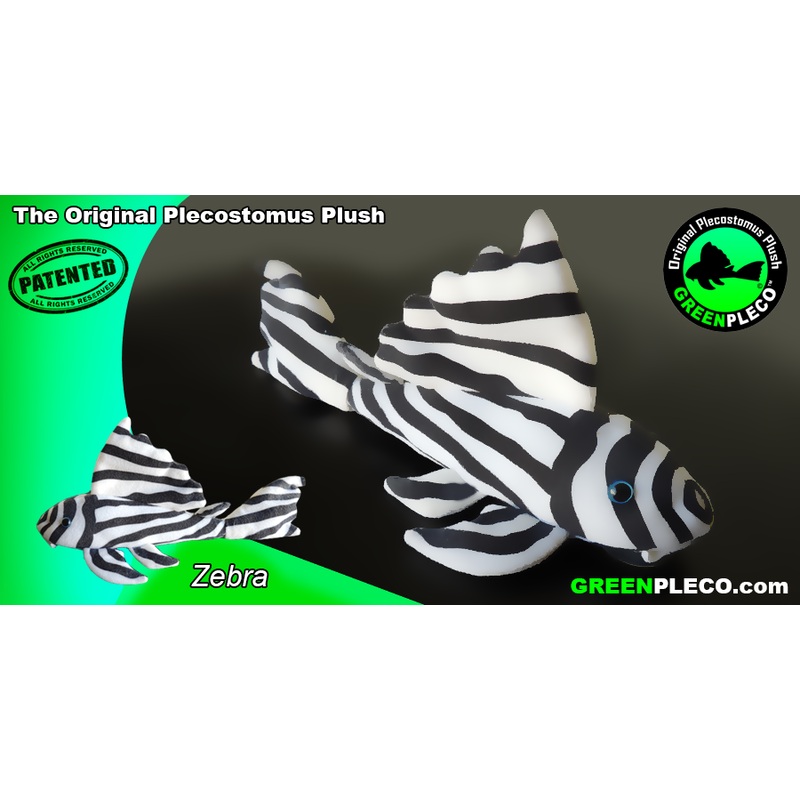 Zebra Plush Pleco