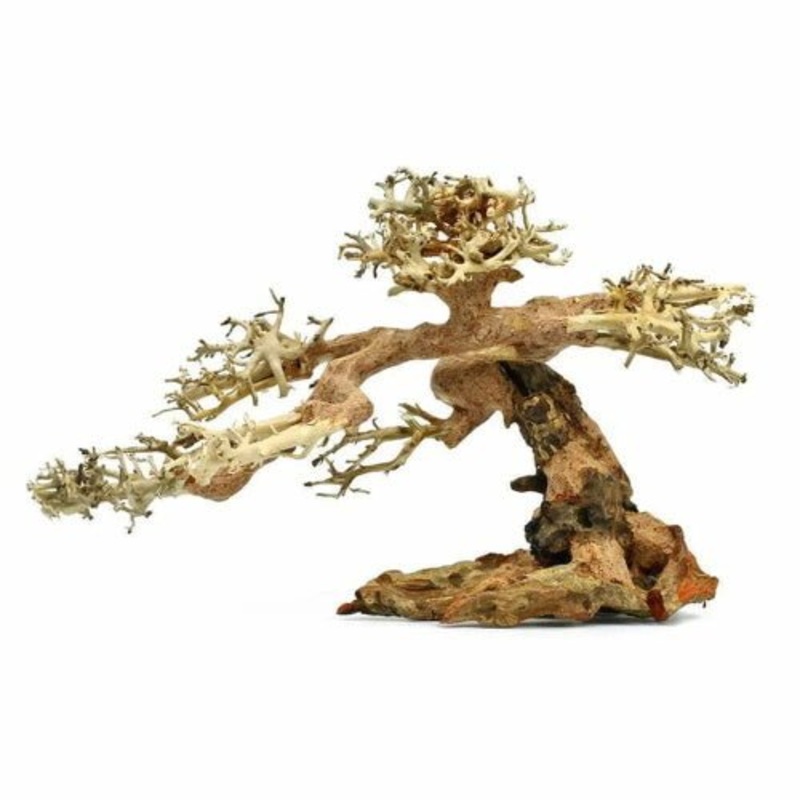 Aquarium Bonsai Tree - Small (15-20cm)