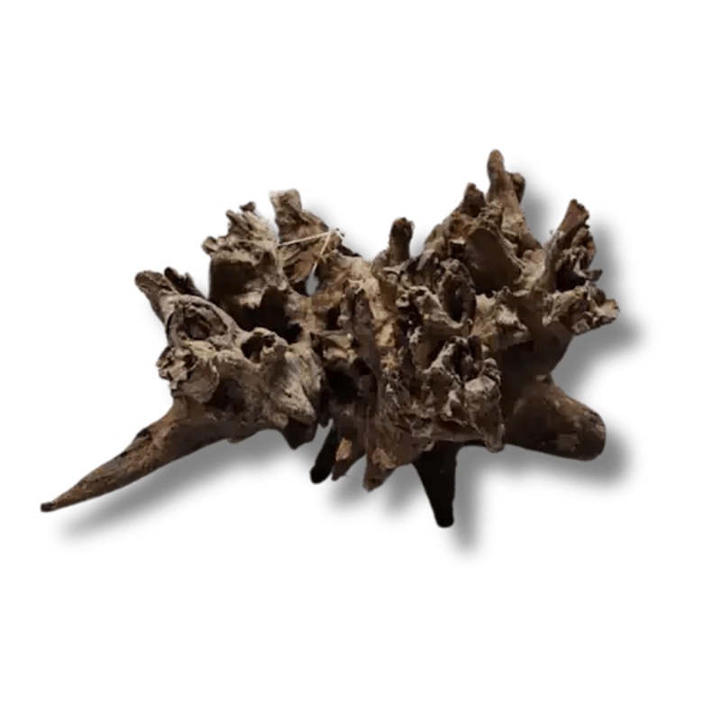 CORAL WOOD - Freshwater Suitable