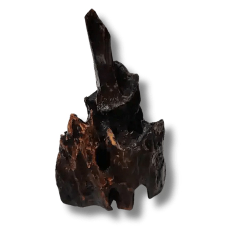 Dragon Wood Aquascaping Driftwood