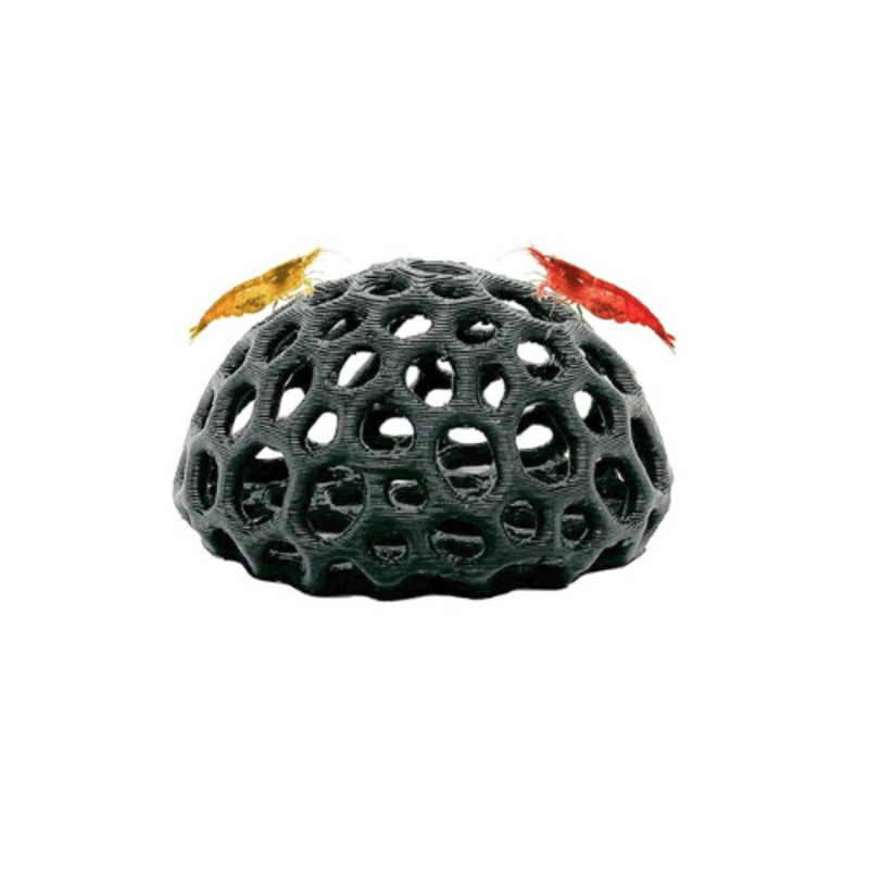 Shrimp Dome