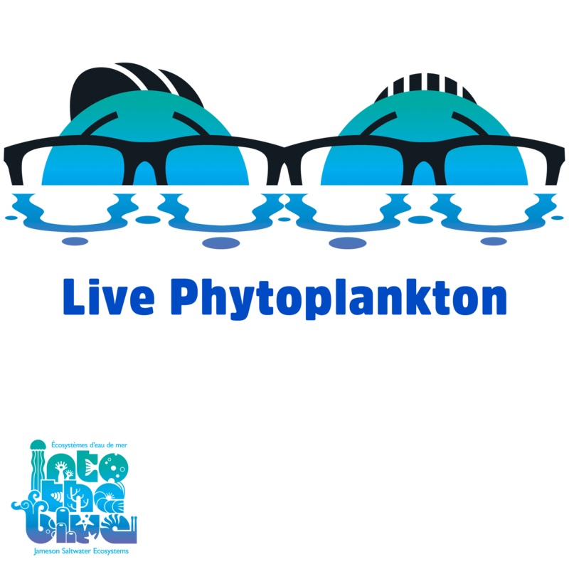 ITB Live Phytoplankton