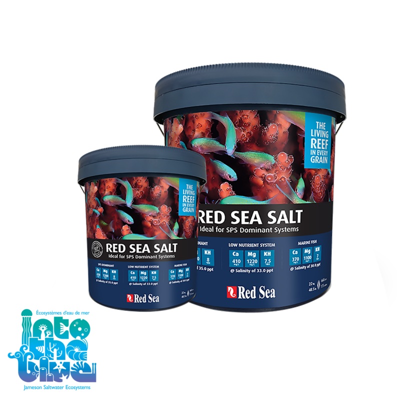 Red Sea - Salt Basic