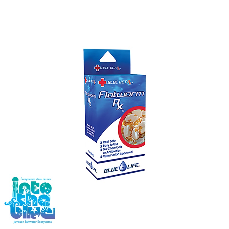Blue Life - Flatworm RX