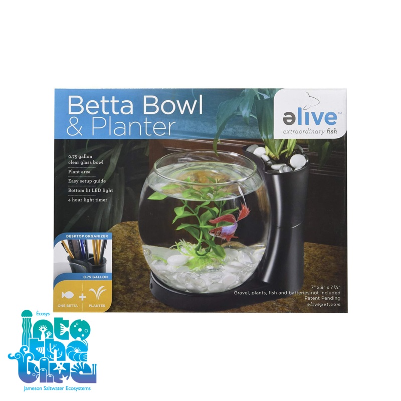 Elive - Betta Bowl + Planter | 0.75 Gallon