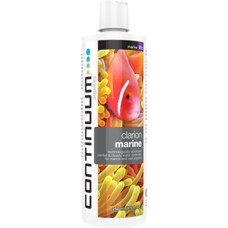 CONTINUUM CLARION MARINE