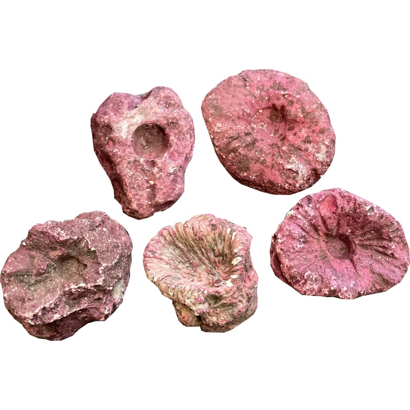 REEF FRAG ROCKS