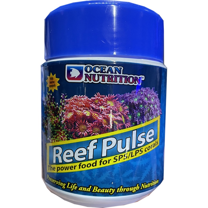 REEF PULSE