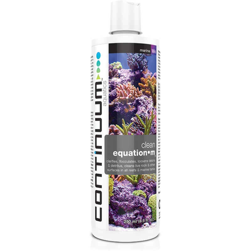 CONTINUUM CLEAN EQUATION M