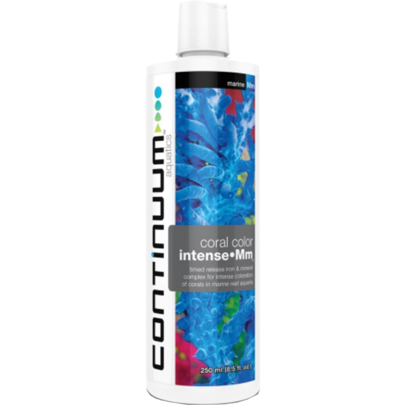 CONTINUUM CORAL COLOR  INTENSE MM