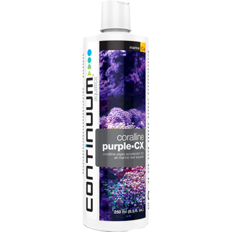 CONTINUUM CORALINE PURPLE CX