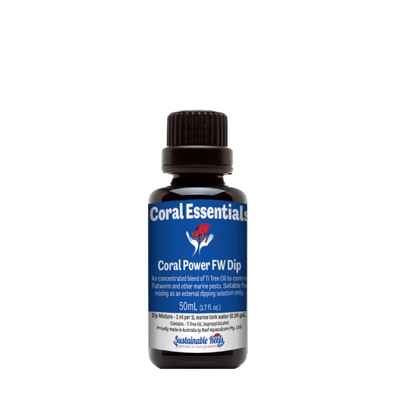 CORAL ESSENTIALS CORAL POWER FW DIP
