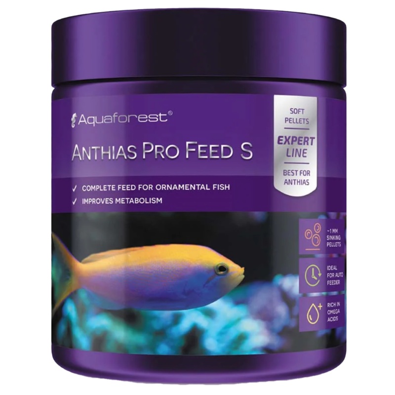 ANTHIAS PRO FEED