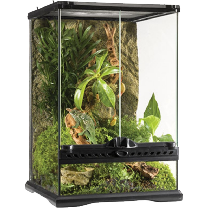 EXO TERRA ALL GLASS TERRARIUM MINI TALL