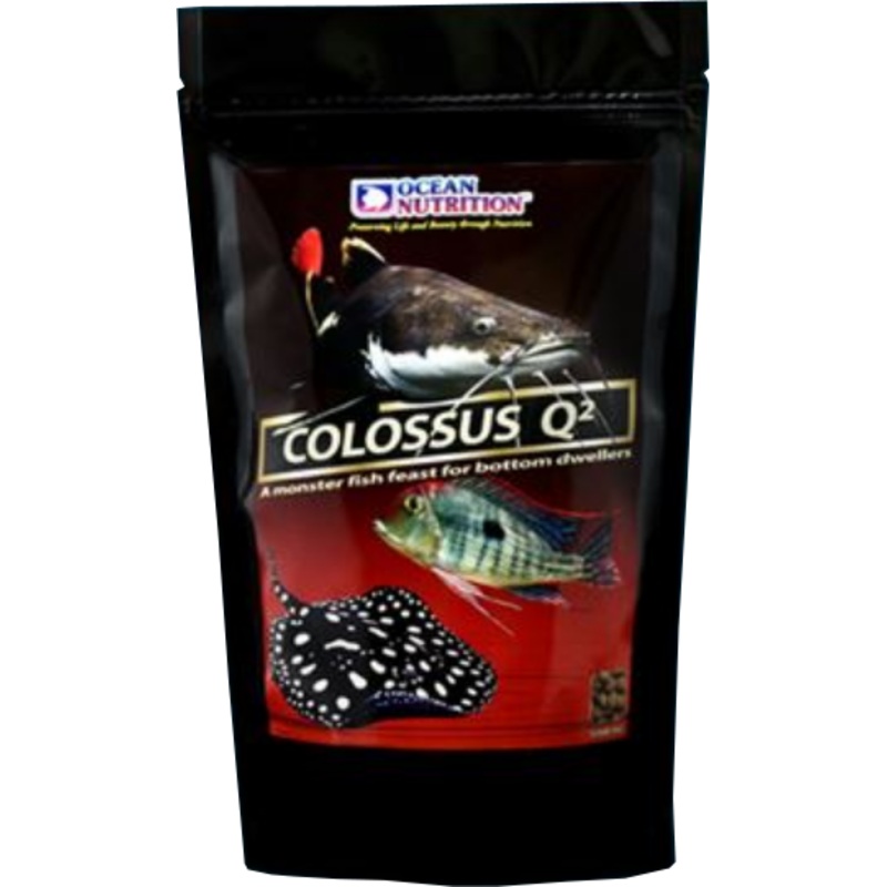 OCEAN NUTRITION COLOSSUS Q2