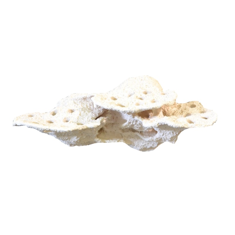 Alternative Reef Magnetic Coral Holder