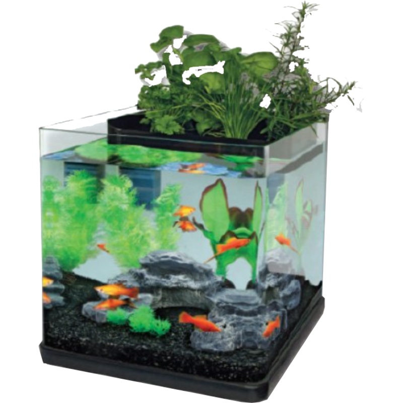 AQUATOPIA OASIS 20