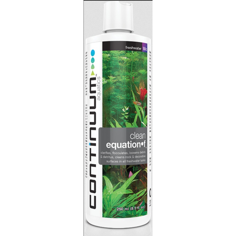CONTINUUM CLEAN EQUATION F