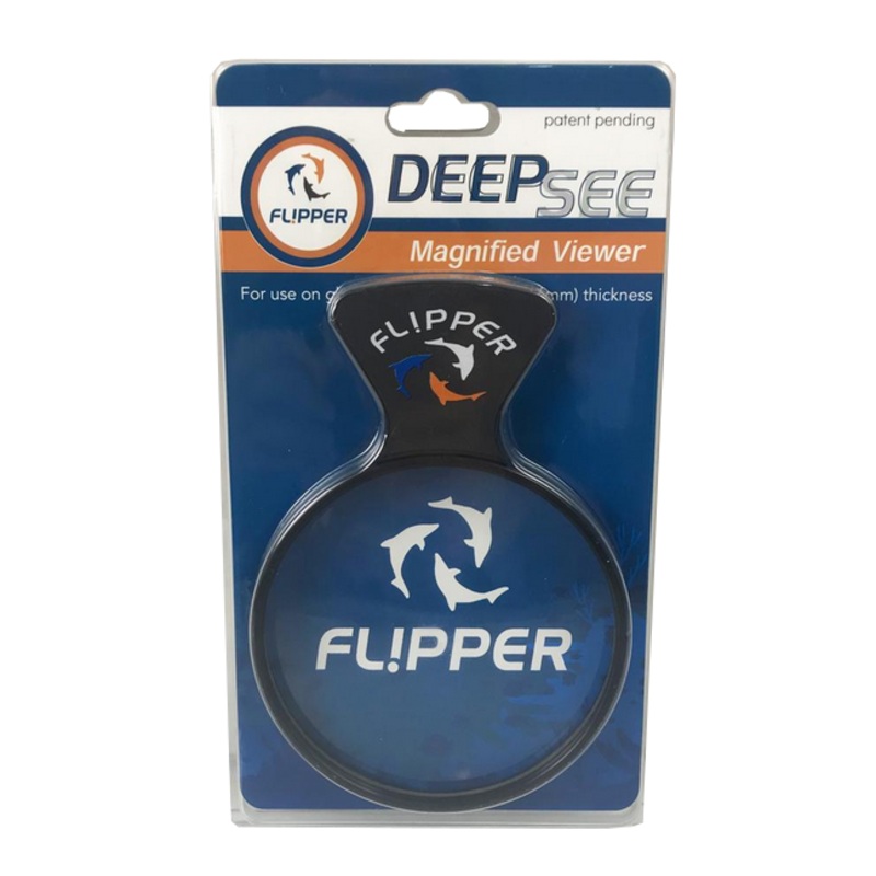 DEEPSEE MAGNIFIED VIEWER