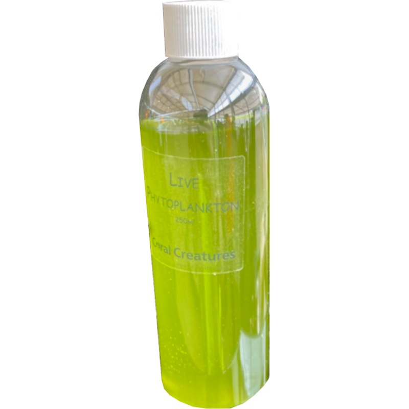 LIVE PHYTOPLANKTON