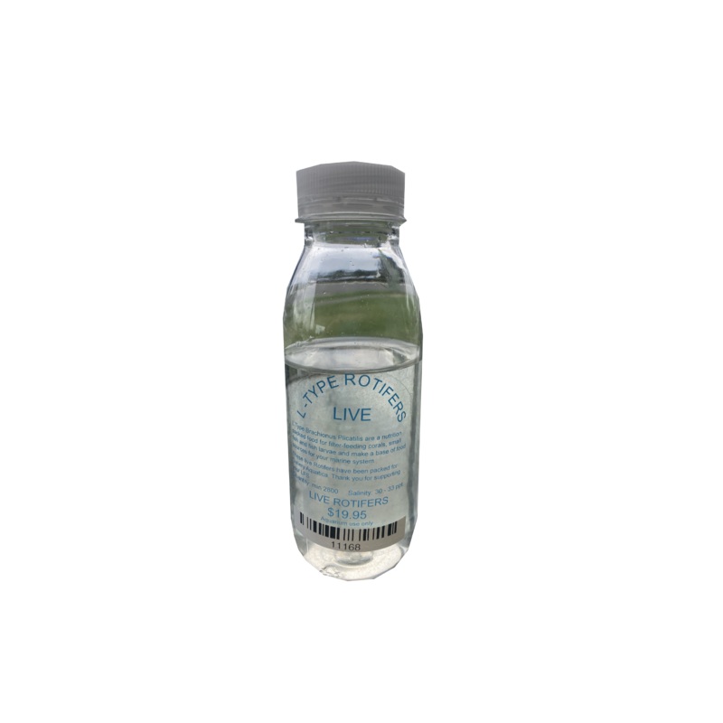LIVE ROTIFERS