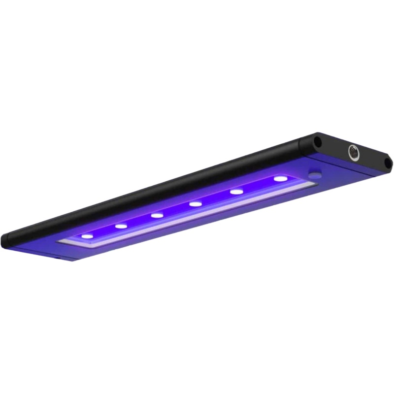 AI BLADE CORAL GLOW