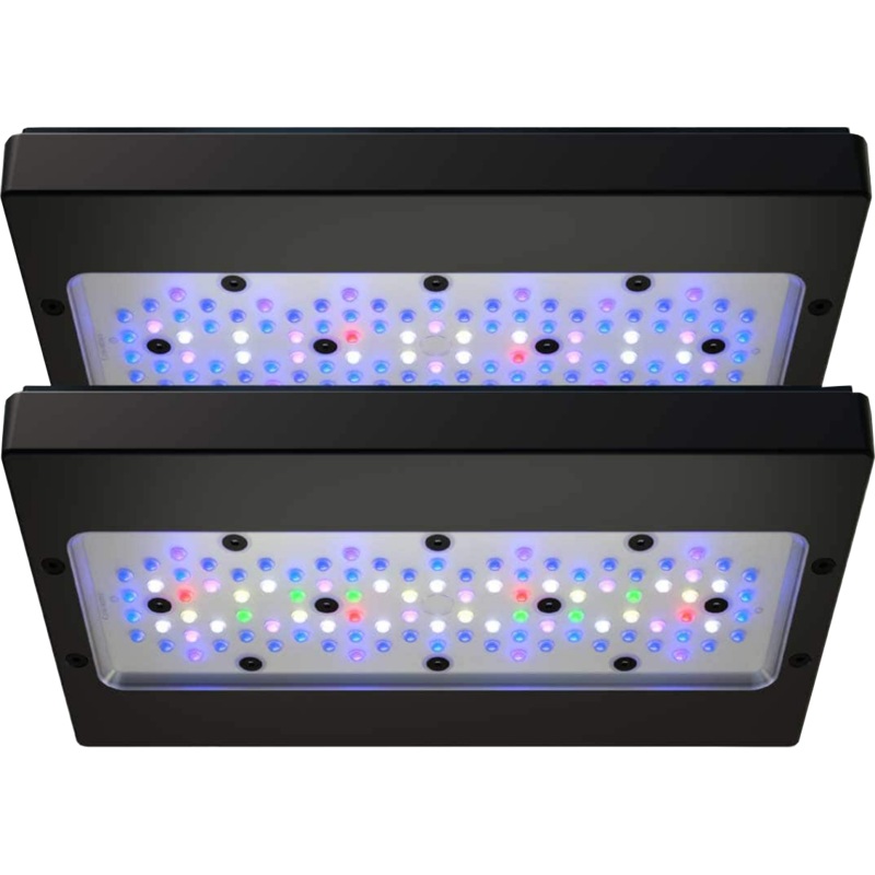 ECOTECH RADION GEN 6