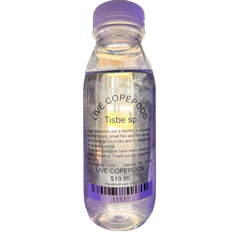 LIVE COPEPODS