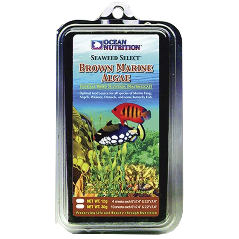 OCEAN NUTRITION BROWN MARINE ALGAE