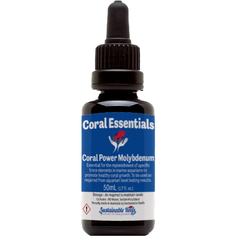 CORAL ESSENTIALS MOLYBDENUM
