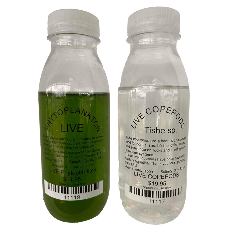 LIVE COPEPODS + PHYTOPLANKTON PACK