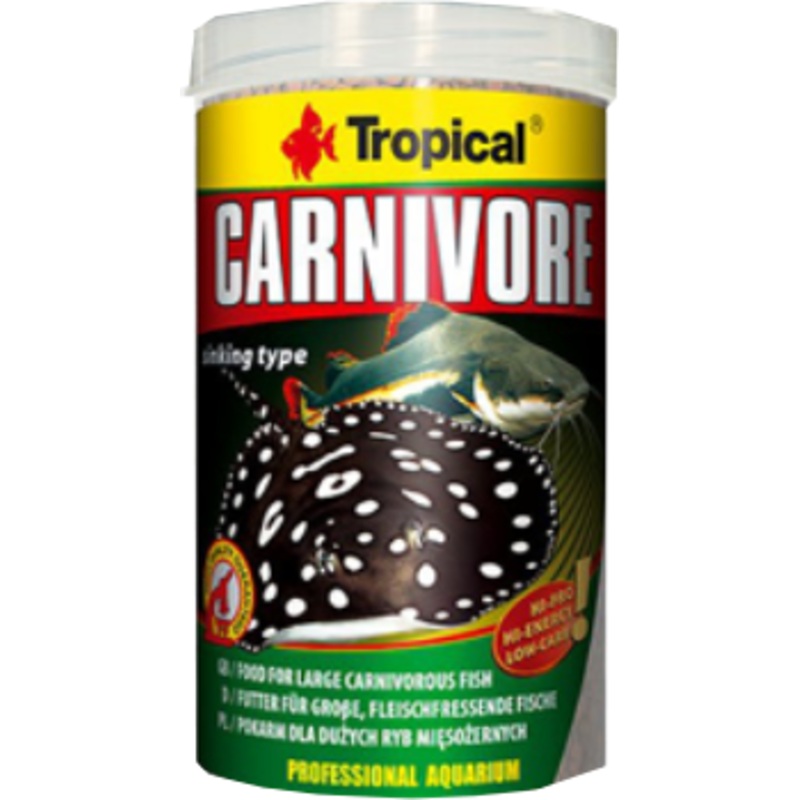 TROPICAL CARNIVORE