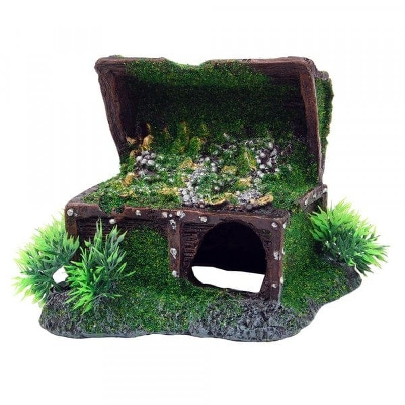 Bioscape Moss Treasure Chest 16 x 14cm