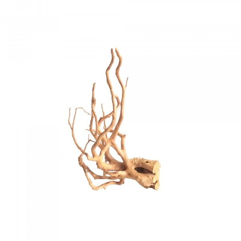 Bioscape Spider Wood