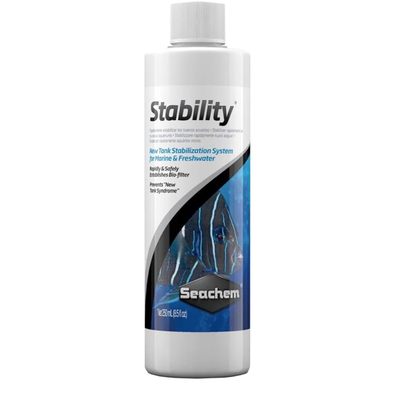 STABILITY