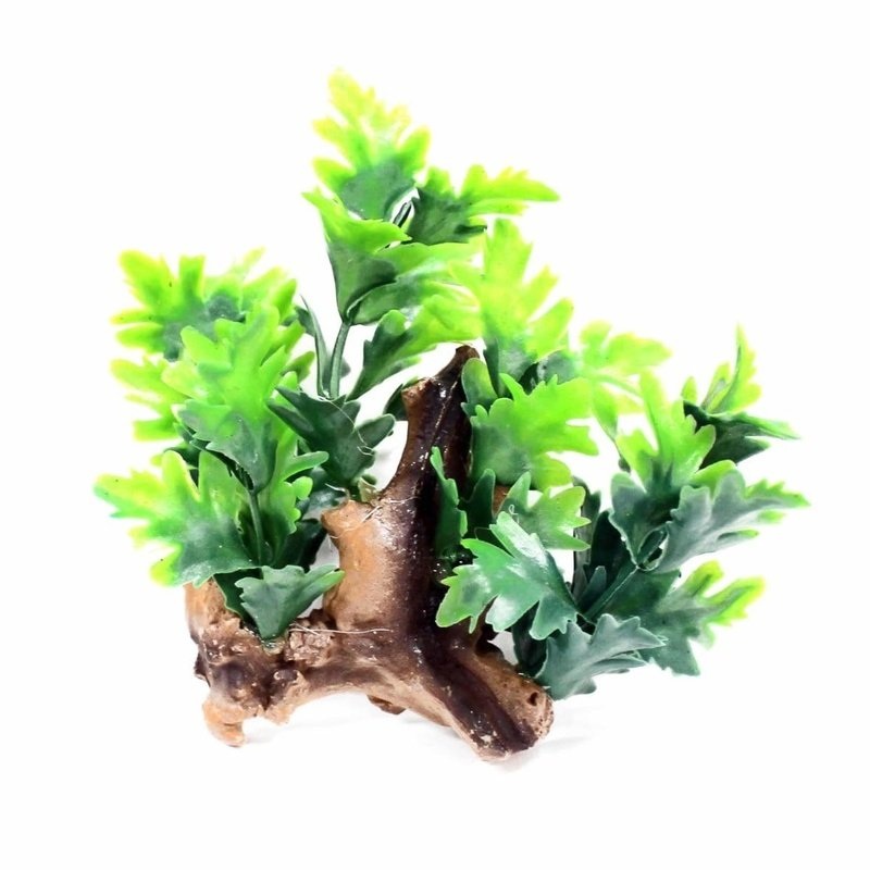 Aquatopia Mini Plant with Suction Cup #3