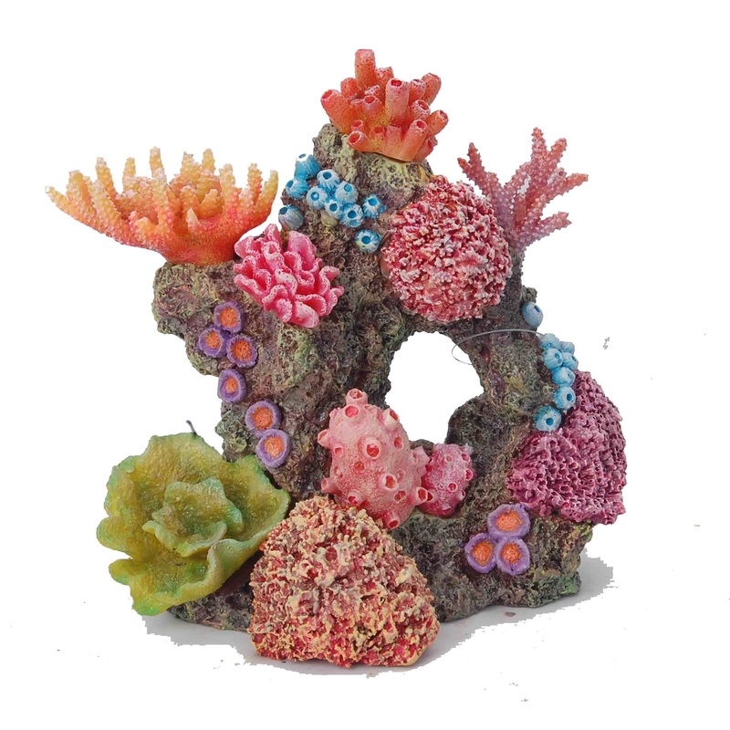 Aquatopia Multicolour Coral
