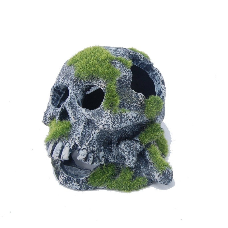 Aquatopia Skull with Moss
