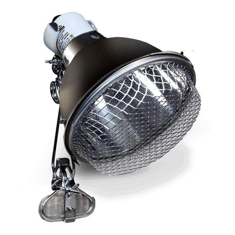 Arcadia Clamp Lamp & E27 Lampholder - Graphite