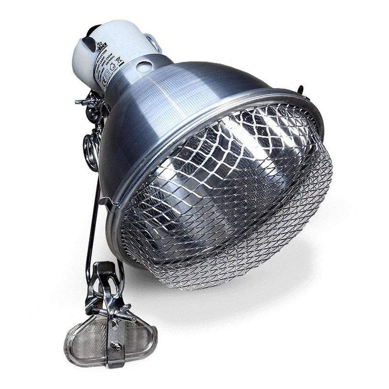 Arcadia Clamp Lamp & E27 Lampholder - Stainless