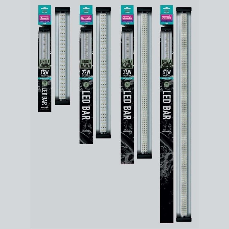 Arcadia Jungle Dawn LED Bar
