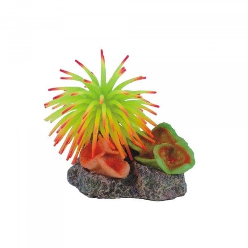 Bioscape Anemone Garden Small 10 x 7cm