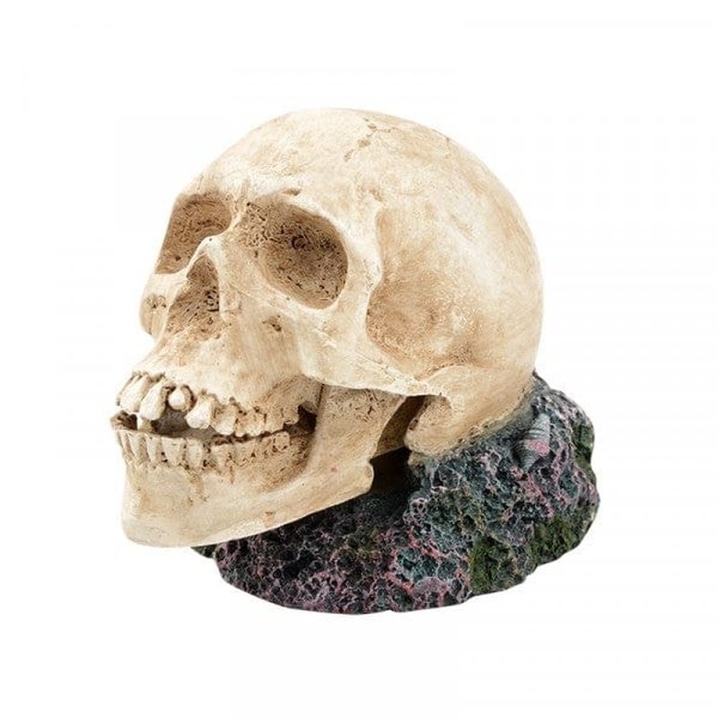 Bioscape Bubbler - Large Human Skull