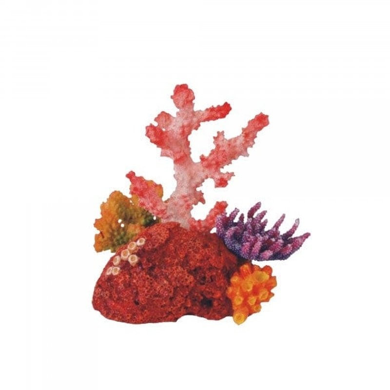 Bioscape Coral Garden 16 x 15cm