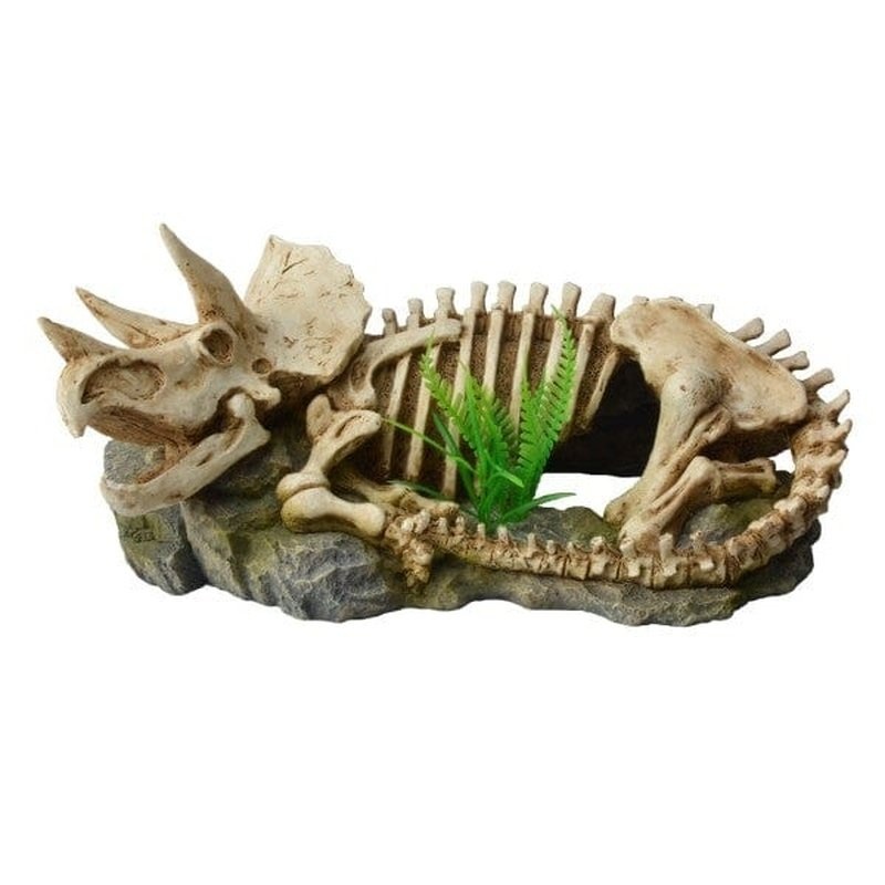 Bioscape Dinosaur Skeleton with Plant 25.5 x 12cm