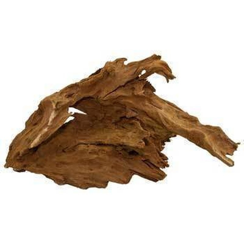Bioscape Malaysian Driftwood