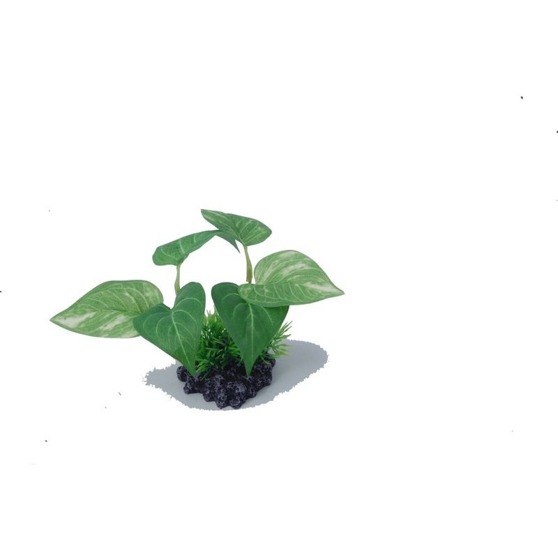 Aquatopia Aquadecor Ornament Small 6 x 6 x 10cm