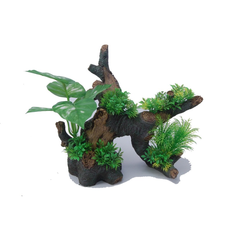 Aquatopia Bonsai Tree with Plants